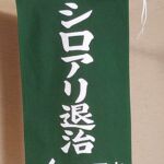 2017-41 シロアリ退治 旗